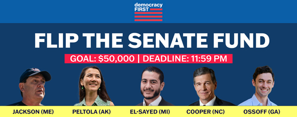 Flip the Senate Fund Flip the Senate Fund