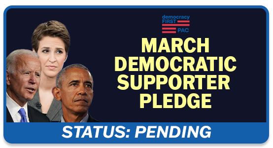 MARCH DEMOCRATIC SUPPORTER PLEDGE // STATUS: PENDING
